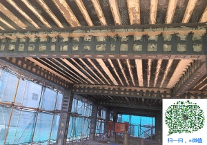 双桥梁柱包钢加固